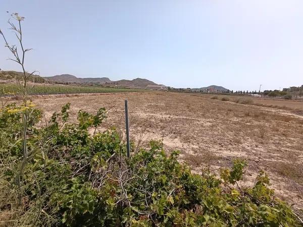 Terreno en Hondón de los Frailes