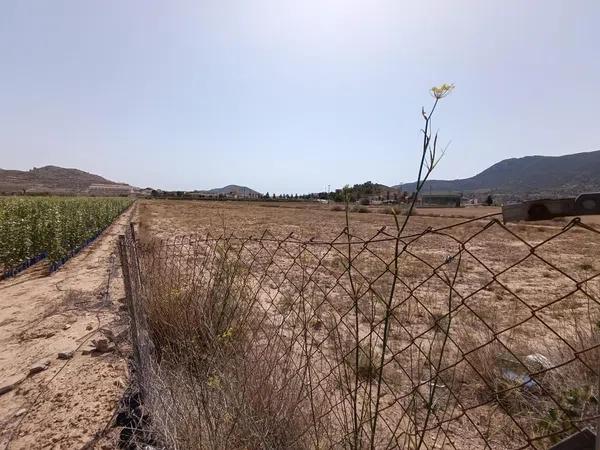 Terreno en Hondón de los Frailes