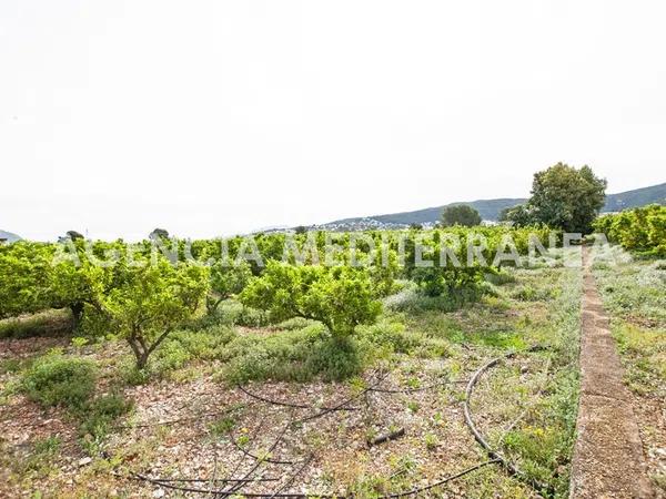 Terreno en Orba