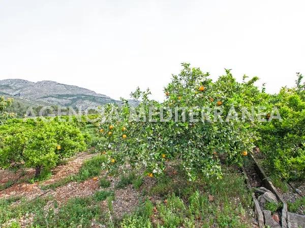 Terreno en Orba