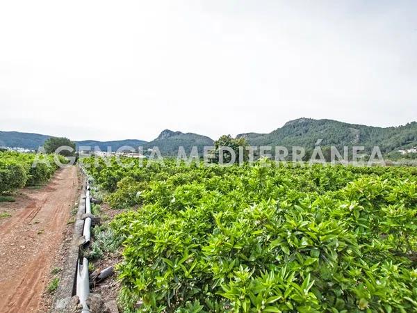 Terreno en Orba