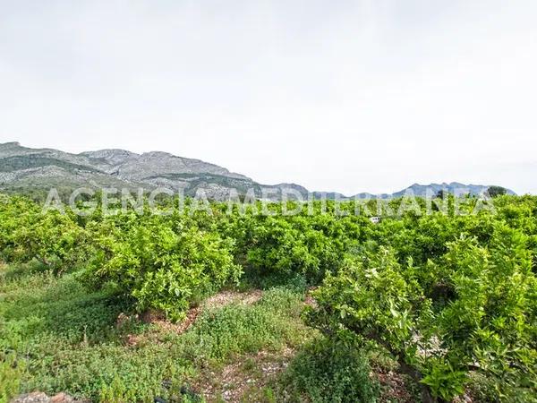 Terreno en Orba