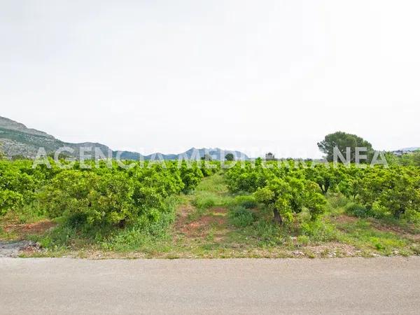 Terreno en Orba