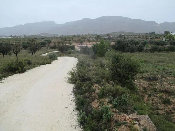 Terreno en Partida los Calores