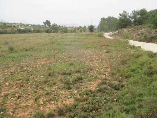 Terreno en Partida los Calores