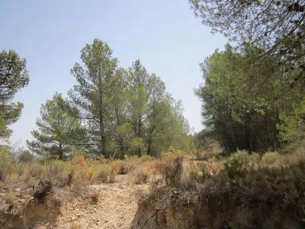 Terreno en via del Mediterráneo