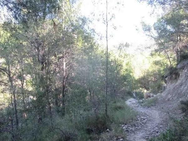 Terreno en calle Sant Antoni