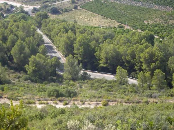 Terreno en Urbanizacion Penya Roja