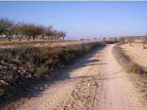 Terreno en Partida Cabezo de la Virgen