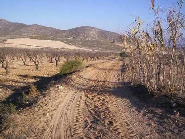 Terreno en Partida Cabezo de la Virgen