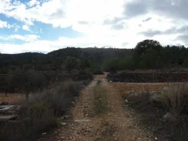 Terreno en Partida Cava