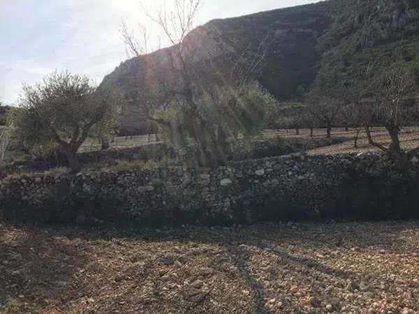 Terreno en Solana Alta