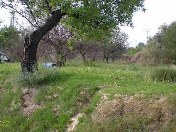 Terreno en calle Beniasent