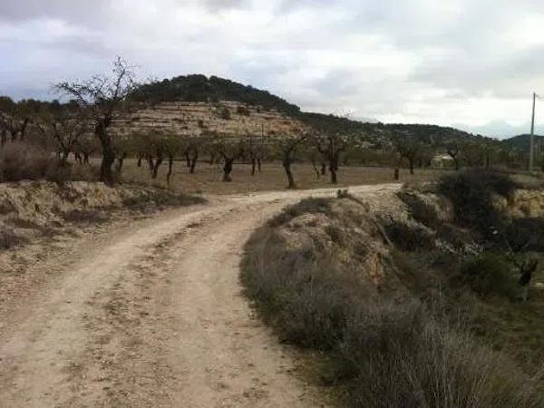 Terreno en Partida Cases Baldes