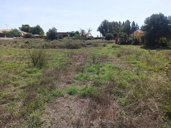 Terreno en calle de I'Esparraguera