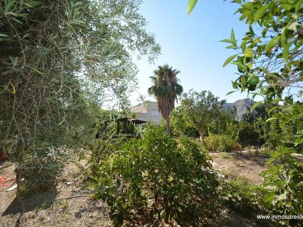 Terreno en Orihuela Ciudad