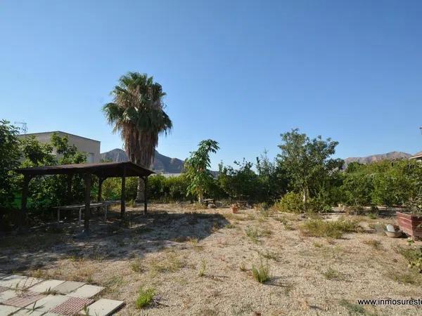 Terreno en Orihuela Ciudad