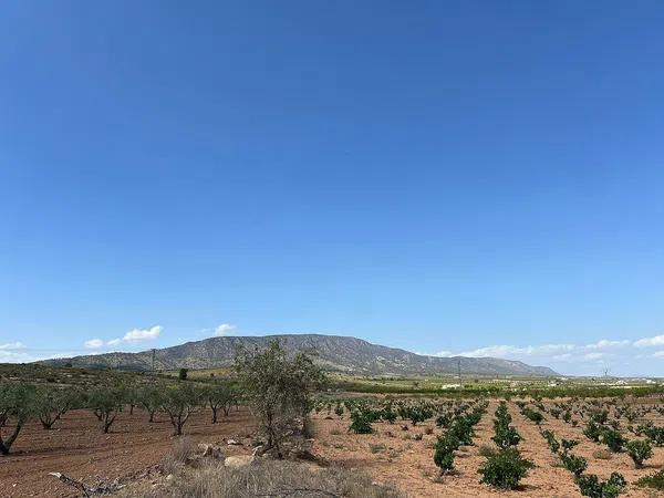 Terreno en Pinoso