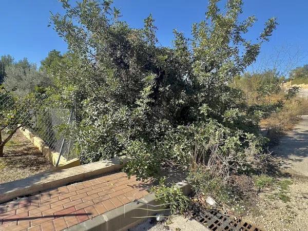 Terreno en Montgó - Ermita