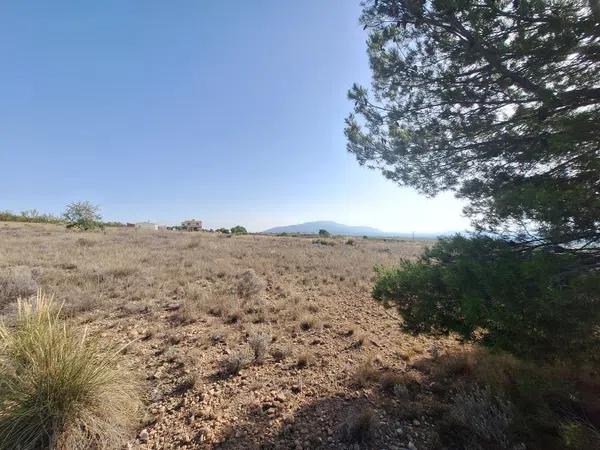 Terreno en Partida Casas de Ibañez, 19