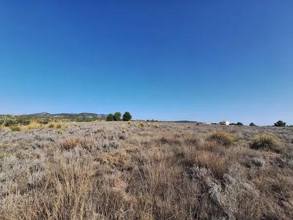 Terreno en Partida Casas de Ibañez, 19