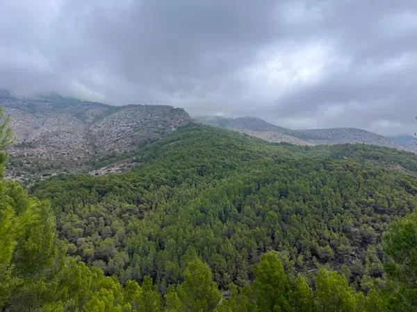 Terreno en Altea la Vella