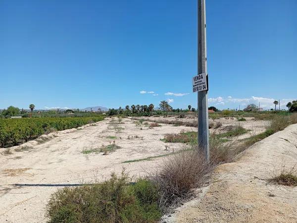 Terreno en Partida de Algoros, 4