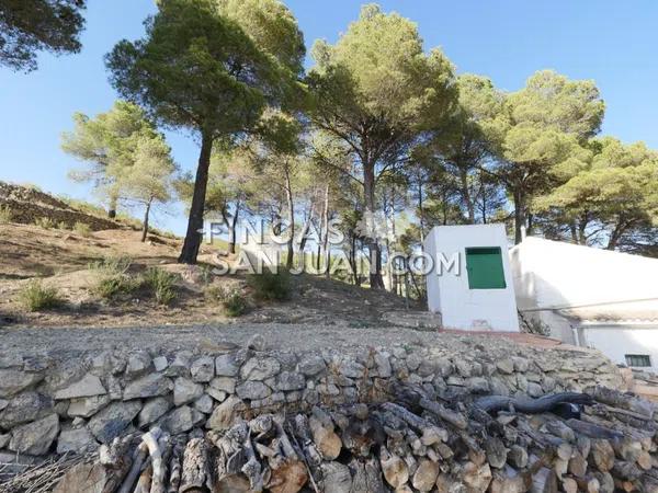 Terreno en Torremanzanas