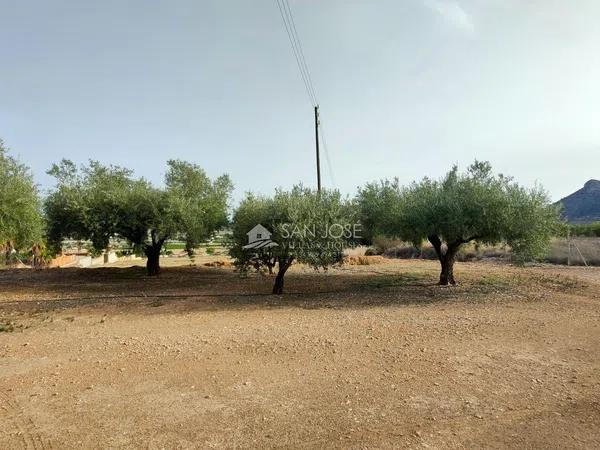 Terreno en Pedanías Oeste