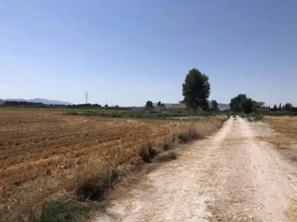 Terreno en Prolongación Elche