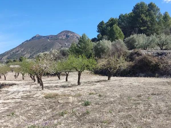 Terreno en Albagas, 4