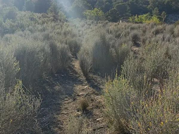 Terreno en parcela 87 poligono 12 s/n