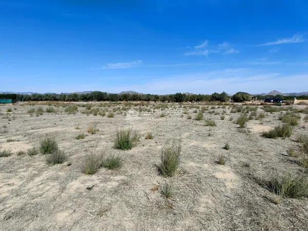 Terreno en Pedanías Este