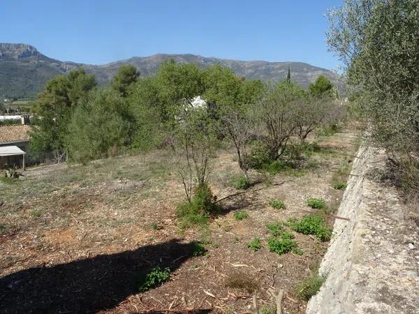 Terreno en Alcalalí