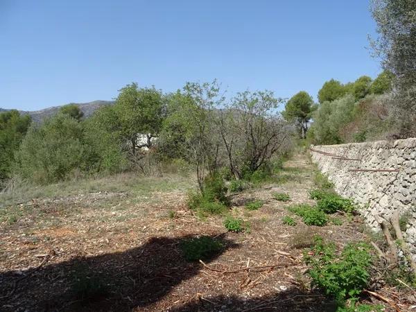 Terreno en Alcalalí