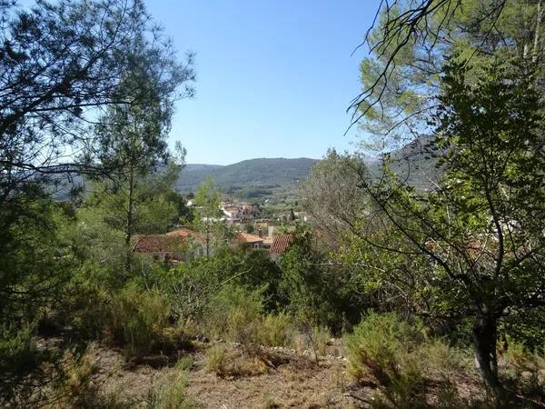 Terreno en Alcalalí