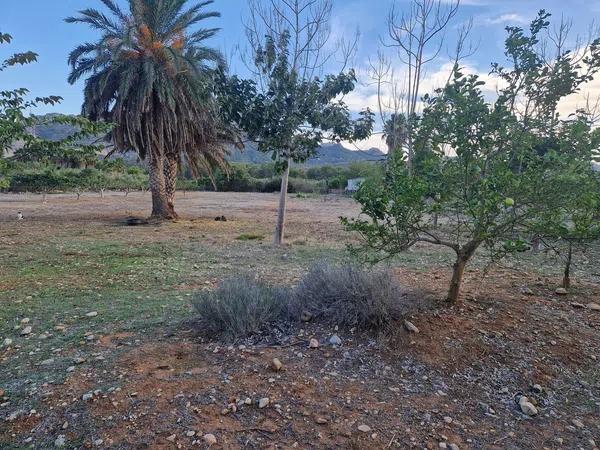 Terreno en avenida del Mediterráneo s/n