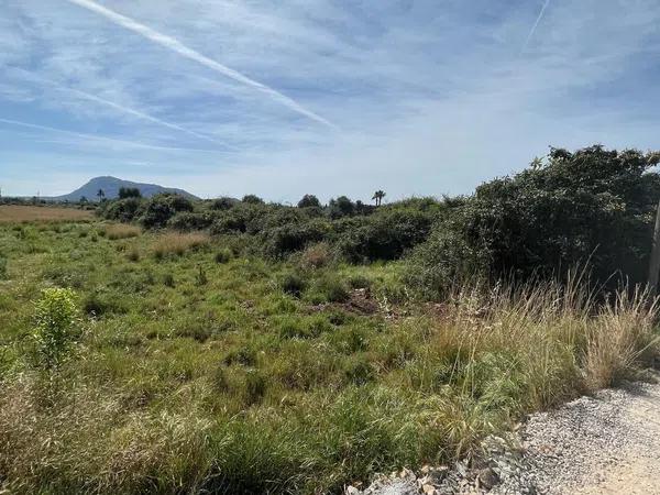 Terreno en camino de Gandia a Dénia, 71 -29