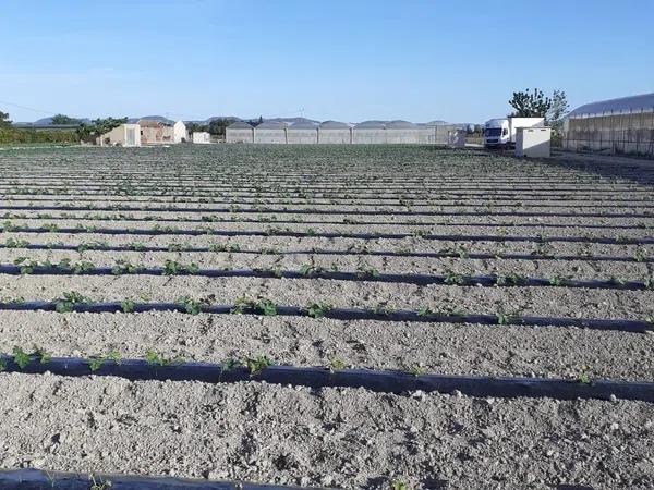 Terreno en Lugar Aparecida, km 42