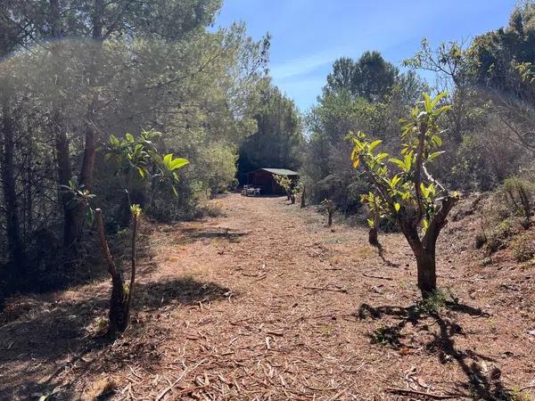 Terreno en Guadalest