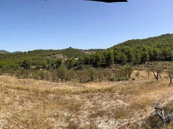 Terreno en Torremanzanas