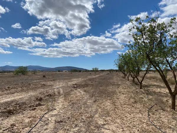 Terreno en Pinoso