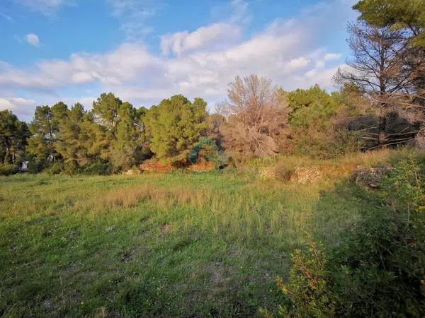 Terreno en Partida Comunes-Adsubia