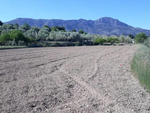 Terreno en Diseminado Diseminados, 96