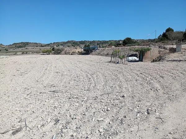 Terreno en Monforte del Cid