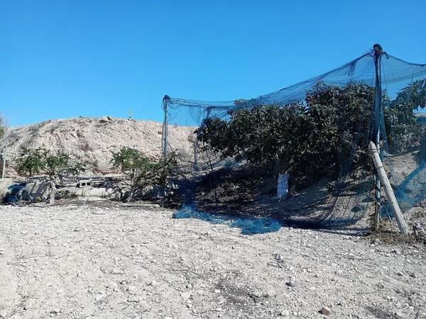 Terreno en Monforte del Cid