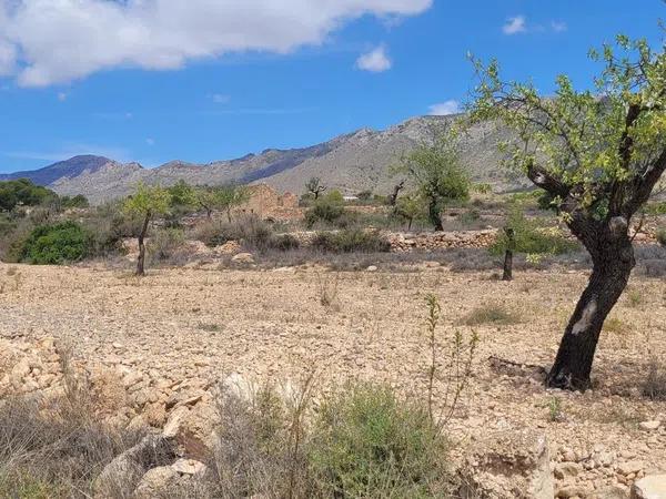 Terreno en Toscar de Cuja, 19