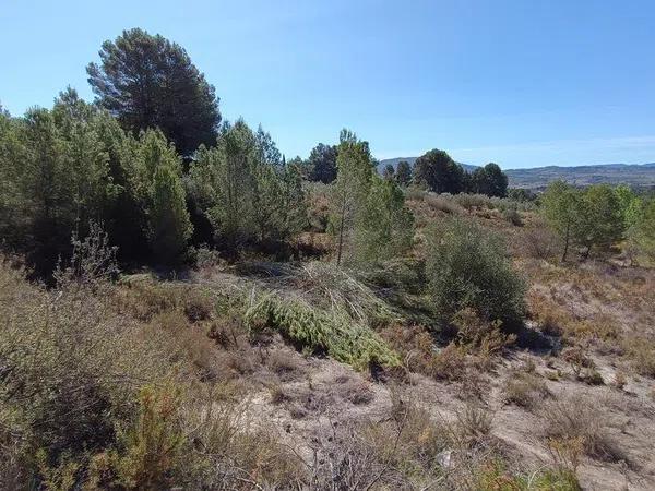 Terreno en Gayanes