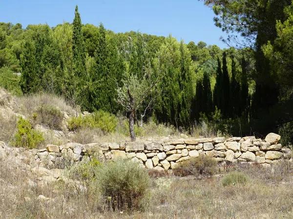 Terreno en Partida Santamaria, 34 P. 295