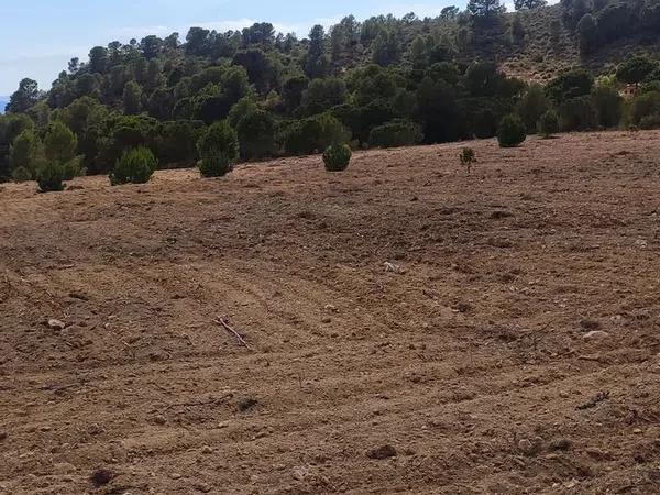 Terreno en Cantalar poligono 22, 10 Parcela